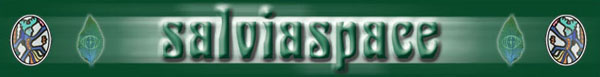 salviaspace logo
